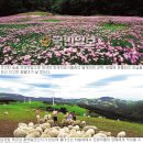 시나브로목장 이미지