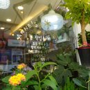 앤스플라워 - 강남구 논현로105길 25 | 앤스플라워