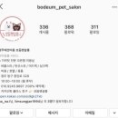 보듬펫살롱 이미지