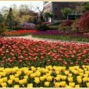 꽃들의 축제, 식물원 이미지