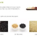 알콩쌀콩 등대마을 이미지