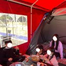 알파카 소풍 펜션 이미지