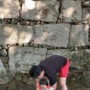 타샤의 아침 이미지