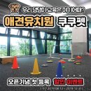 쿠쿠펫(KOOKOOPET) 이미지