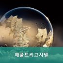 애플트리고시원