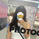 세네일
