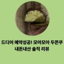 모아모아베이커리 - 강릉시 구시장길 8-1 | 두쫀쿠 맛집에서 먹으면 다를까??? (모아모아베이커리후기)