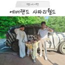 에버랜드 사파리월드 투어 예약 방법 총정리｜아이와 다녀온 후기, 할인·스마트줄서기 꿀팁까지