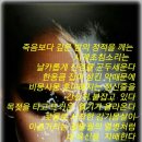 다가오리 이미지