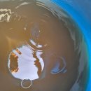 도당하우스 이미지