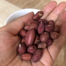 규식농장 이미지