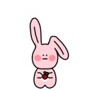 고양이화실