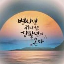 그집낙지 이미지