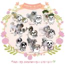 화랑유치원 이미지