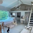 댕댕포레스트 이미지