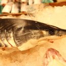 제주민속오일장 이미지