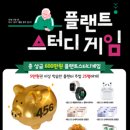이벤트플랜트 이미지