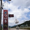 강나루식당 네이버블로그