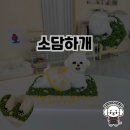 소담하개 | 소담하개에서 놀라운 반려견 수제 간식 체험!