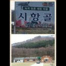 용화양강로 이미지