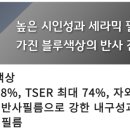 뉴이지스 네이버블로그