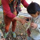 빨간펜 학습지 아동 숲해설·환경교육 이미지