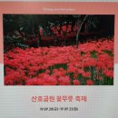 하동 북천 코스모스/메밀꽃축제와 창원 산호공원 꽃무릇 축제 이미지