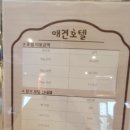 루트231 유치원 & 호텔 이미지