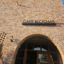 경안천로 258번길 | 카페 블룸스 용인 애견동반 방문 후기