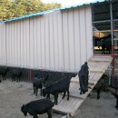 자작농장 이미지