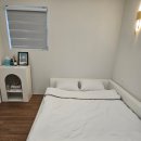 스테이우린 이미지