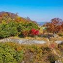 느티나무 일원 이미지