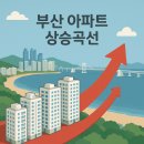 블랑비치 이미지