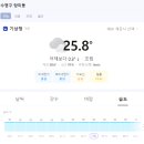 수영빈대떡