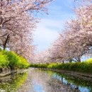 에이스짐 이미지