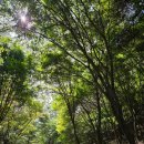 소중보건진료소 | 나주 금안보건진료소 주변 한바퀴 금성산 생태숲 후기