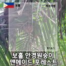 메이드 | 보홀 여행 안경원숭이 맨메이드포레스트 셀프투어 후기