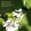 그날이오면 이미지