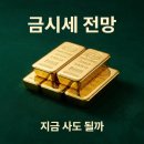 금시세 지금 사도 되나 고민이라면? 2026년 하반기 투자 전망과 전문가 분석