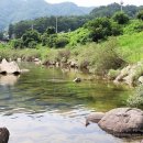 강뜨락팬션 이미지