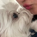 안산무지개연합의원 이미지