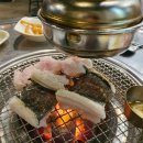 꼬리치는장어;산곰장어