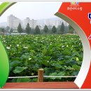 백연농장 이미지