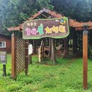 계룡산유아숲체험원 이미지