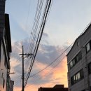 숨겨왔던 나의 일상
