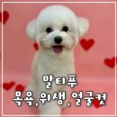 서울미용타운 - 군산시 문화로 67-1 | 서울미용타운