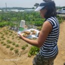 배미자농장 이미지