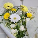 안산 고잔동꽃집 | 쥬레아플라워, 생일 꽃다발 선물 후기