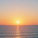 (주)웹패턴 이미지