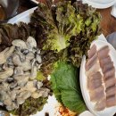 부산 굴보쌈맛집 연산동 &#34;정담마늘보쌈&#34; 생굴보쌈 찐맛집 내돈내산후기